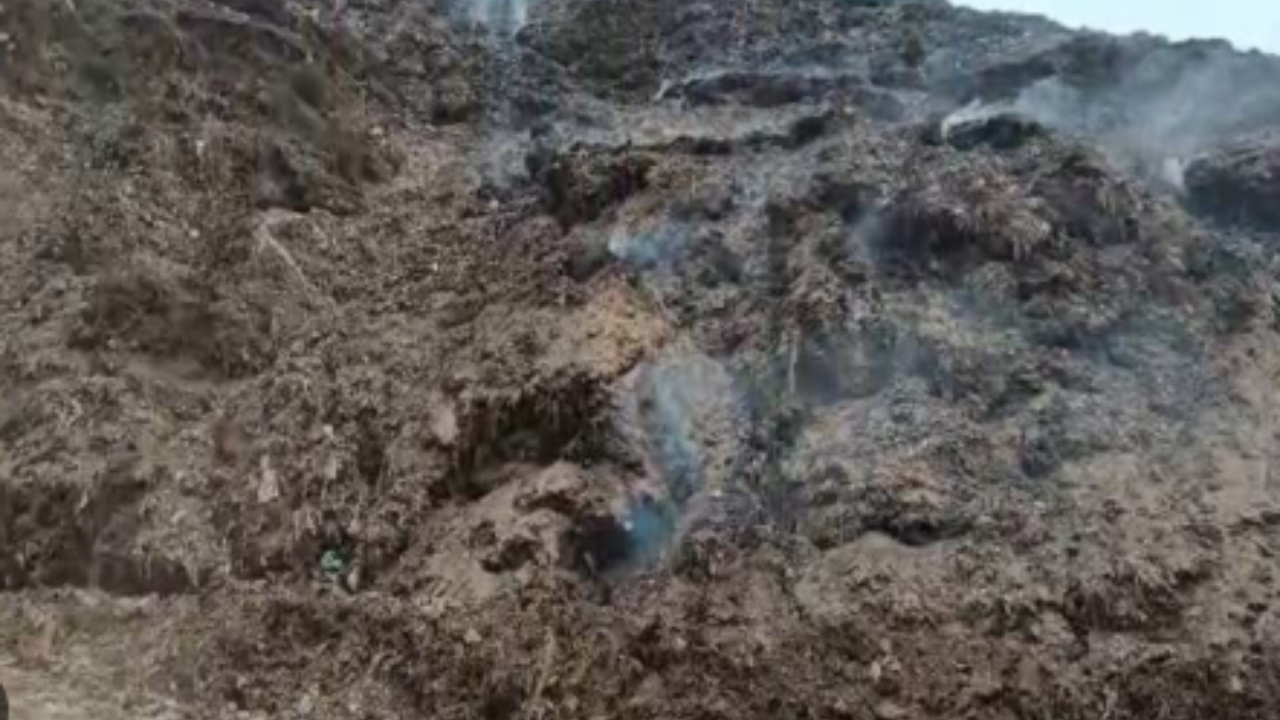 কলকাতা শহরের অন্যতম বড় বর্জ্য ফেলার স্থান ধাপায় বড় বিপদের আশঙ্কা