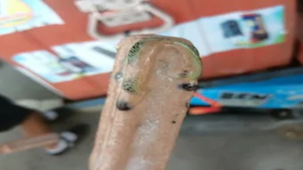 Snake in icecream