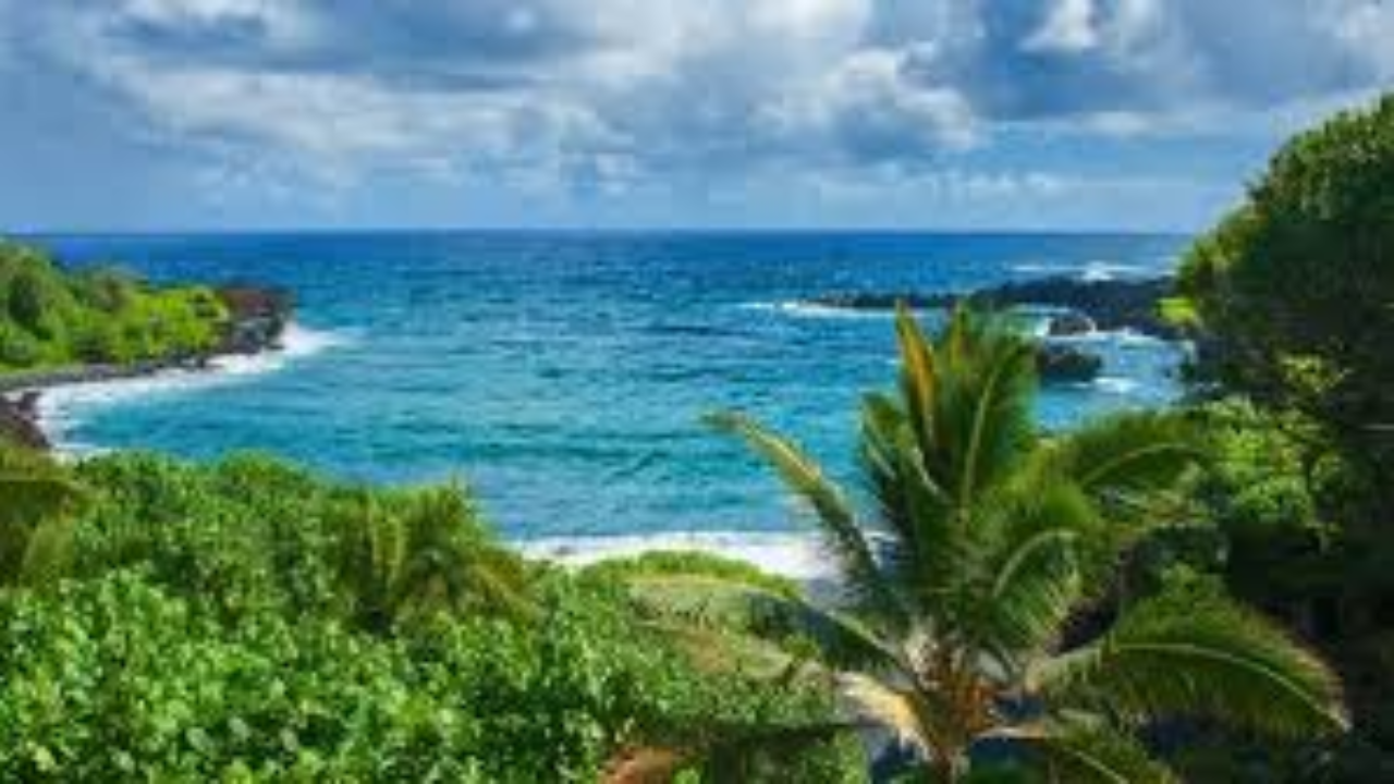 বিশ্বের বিখ্যাত সমুদ্র সৈকত