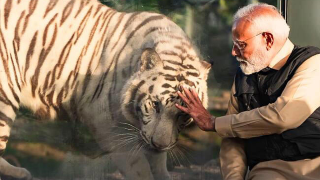 গুজরাটে বিশ্বের বৃহত্তম বন্যপ্রাণী সংরক্ষণ কেন্দ্র উদ্বোধন করলেন প্রধানমন্ত্রী মোদী