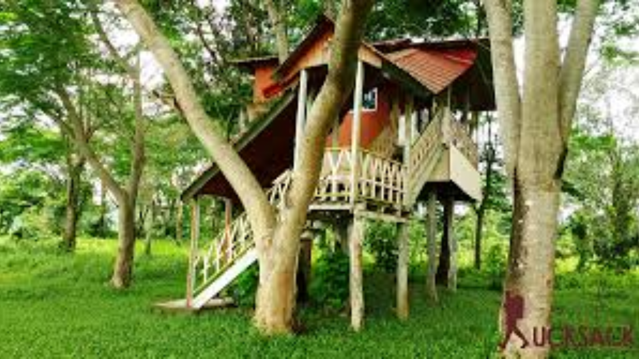 চিলাপাতা ফরেস্ট