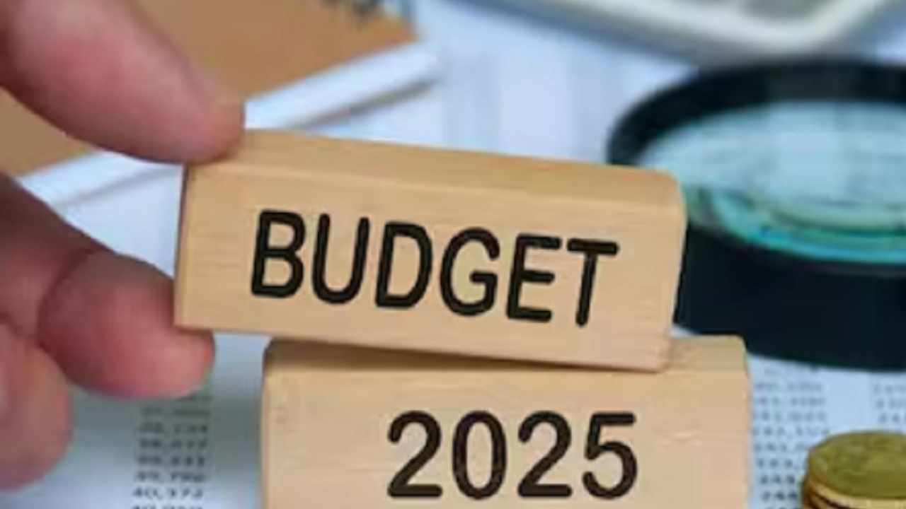 তেলেঙ্গানা বাজেট ২০২৫: হায়দ্রাবাদের উন্নয়নে ১০০ কোটি টাকার বাড়তি বরাদ্দ