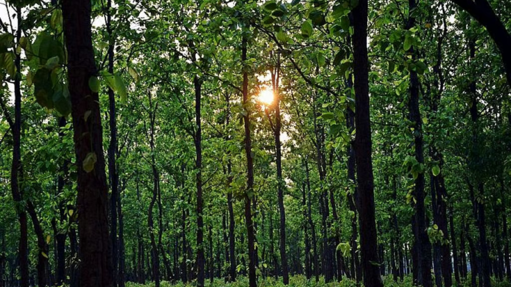 প্রকৃতির রূপকথা ও পাহাড়ের শান্তি খুঁজতে ঘুরে আসুন সরণ্ডা থেকে।