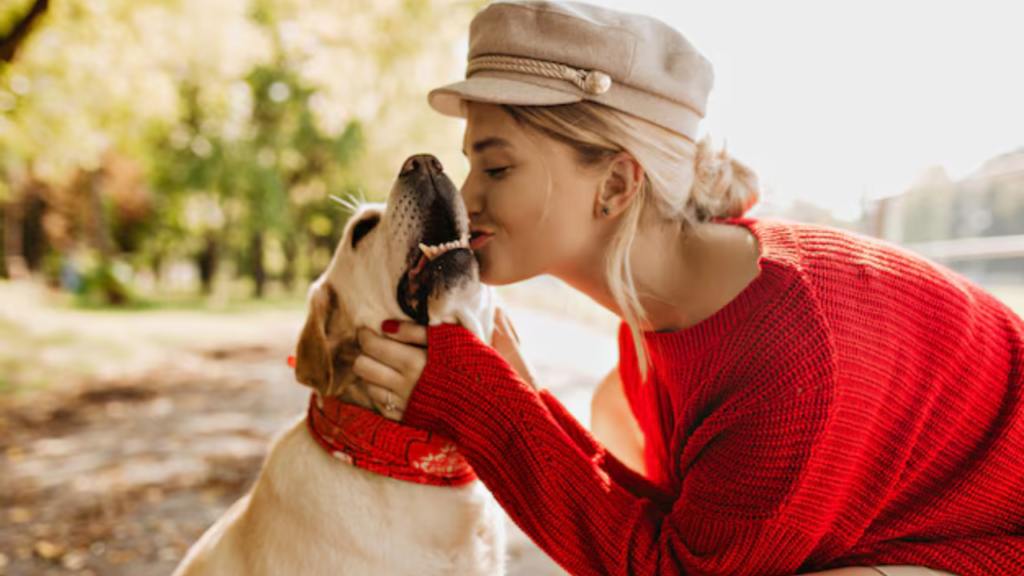 dog saliva is dengerous