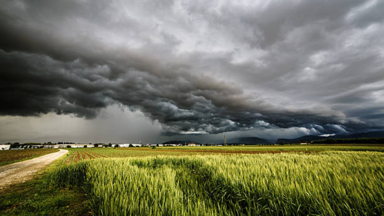 weather