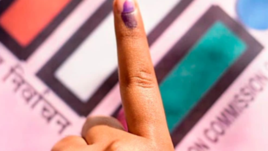 fake bangladesi voter
