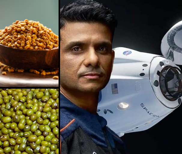 methi fenugreek axiom 4