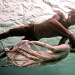 Bajau People Sulawesi
