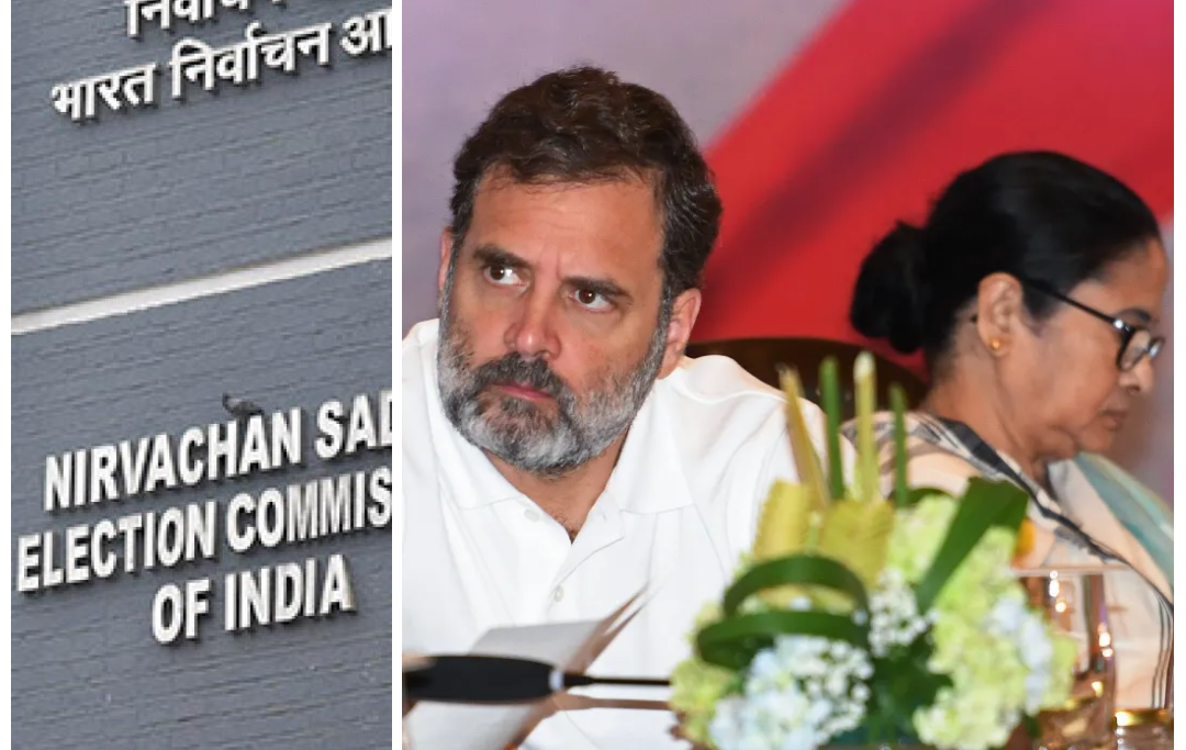 Indi Allaince against voter list reforms