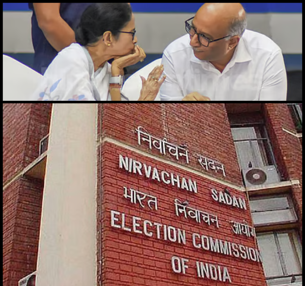 Mamata Manoj Pant