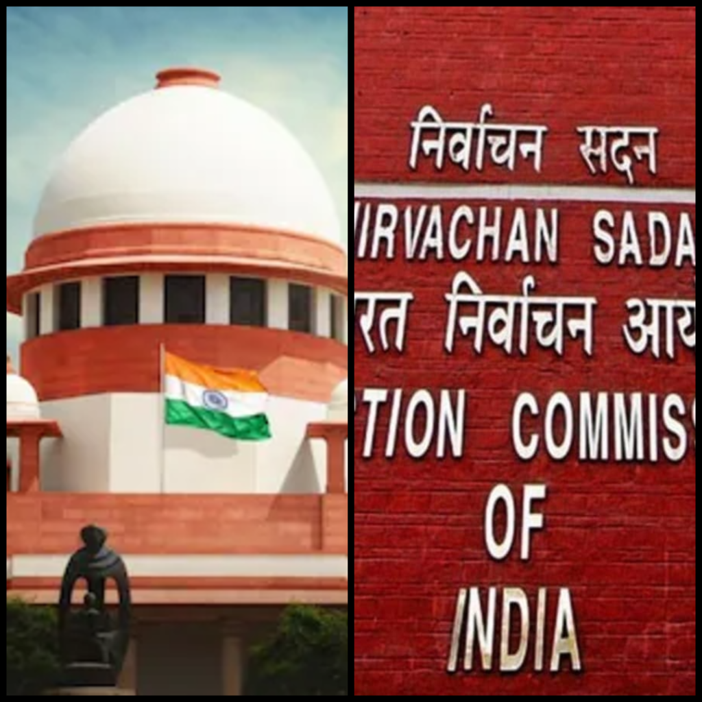 SCI and ECI , excluded voter list
