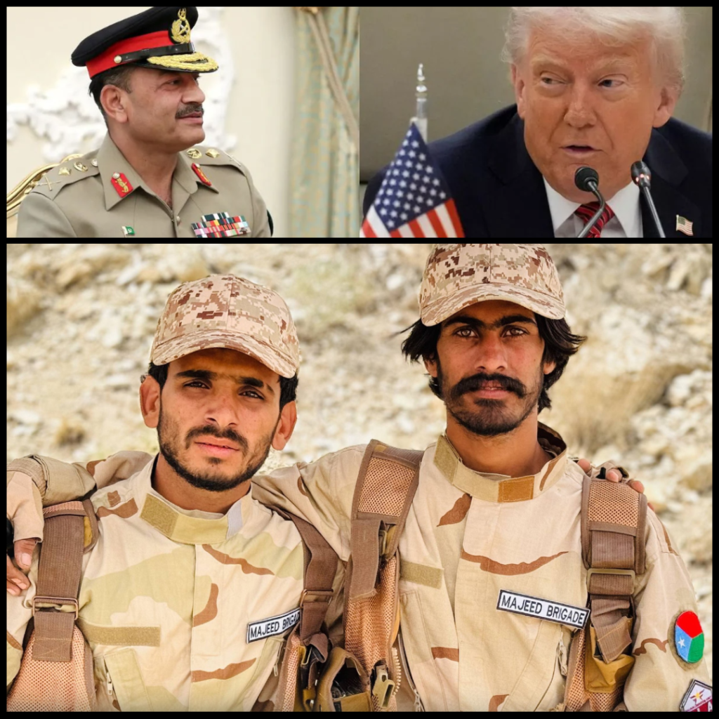 BLA designated terror group in USA