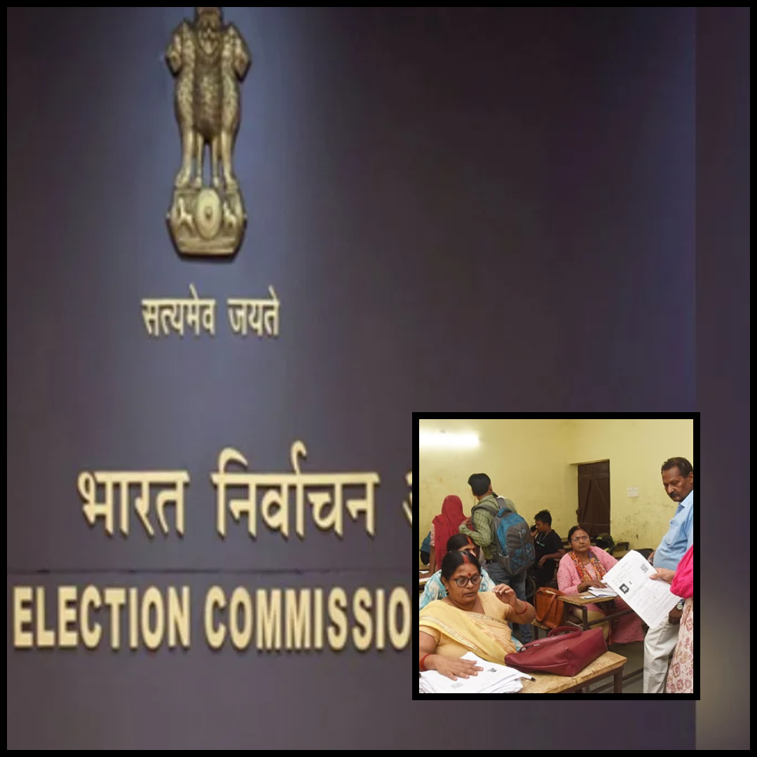 election commission BLO