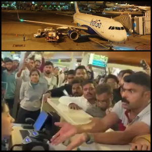 indigo service disaster