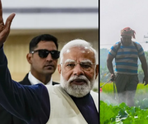 India US trade deal farming sector