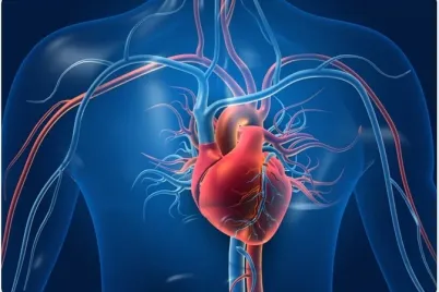 Heart-Theraphy.webp