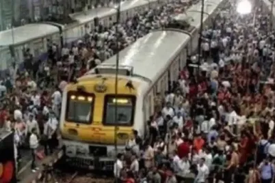Stampede-_situation--e1749544441931.webp