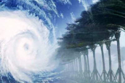 Untitled-design-10-2.png