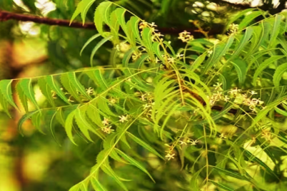 Untitled-design-2024-07-02T114131.795.png