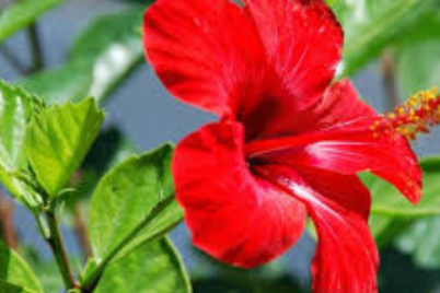 Untitled-design-2024-11-19T180558.729.png