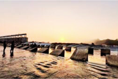 Untitled-design-55.png