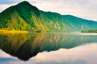 Untitled-design-58-1.png