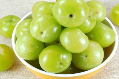 Untitled-design1052.png