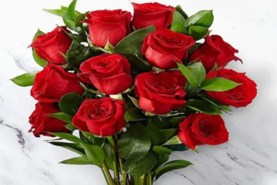 Untitled-design1102.png