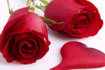 Untitled-design1180.png