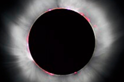 Untitled-design1526.png