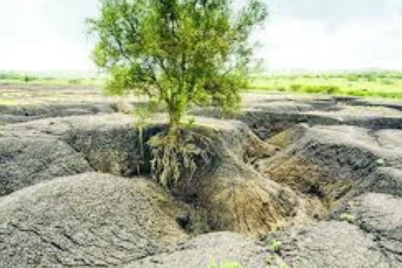 Untitled-design925.png