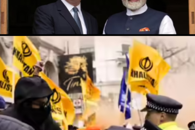 Untitled1-2.png