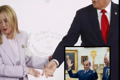 Untitled1-3.png