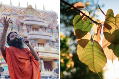 baba-ramdev-peepal-leaf-e1749060510150.png