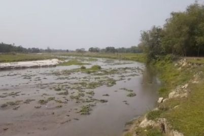 badh.jpg