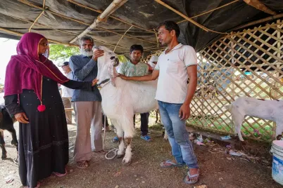 bakrid-1749126171.webp