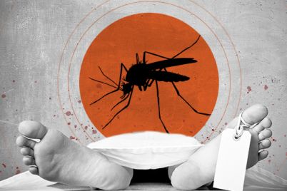 big_180896_dengue-ev.jpg
