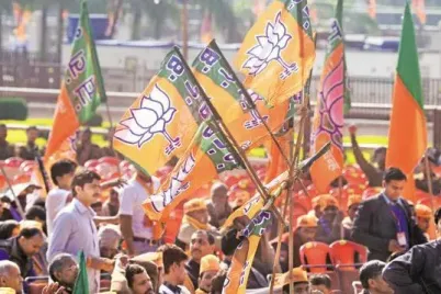 bjpflag-kZID-621x414@LiveMint-1-e1763550032190.webp
