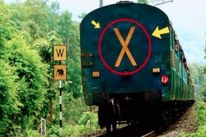 cross_sign-sixteen_nine.jpg