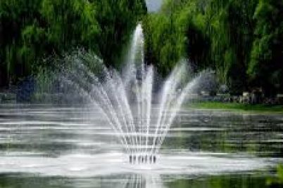 images-98.jpg