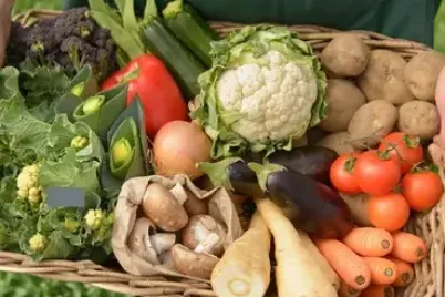india-organic-food-market-e1757330449557.webp