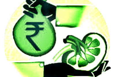 kidney-racket-12.png