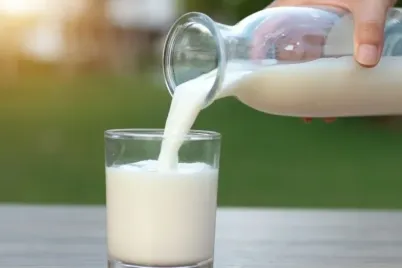 milk-storage.webp