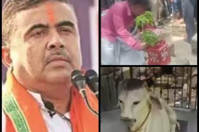 photo-collage-1.png-44-1.png