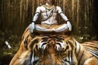 shiva-loin-e1770012463895.png