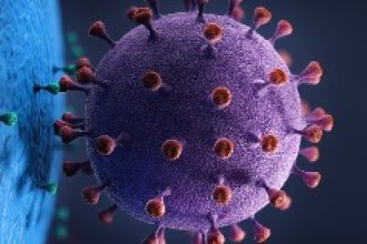 virus.jpg