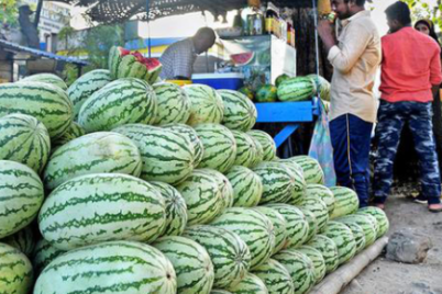 watermelon.png