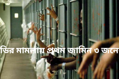 ইডির-মামলায়-প্রথম-জামিন-৩-জনের.png