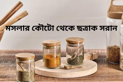 মসলার-কৌটো-থেকে-ছত্রাক-সরান.png